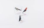 Match a Pair of Birds: A Memory Game - Image 6
