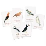 Match a Pair of Birds: A Memory Game - Image 7