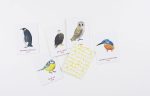 Match a Pair of Birds: A Memory Game - Image 5