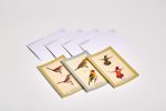Sibley Backyard Birding Postcards: 100 Postcards (Sibley Birds) - Image 4