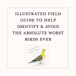 A Dumb Birds Field Guide to the Worst Birds Ever - Image 3