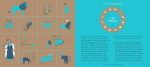 Seeing Stars: A Complete Guide to the 88 Constellations - Image 12