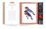 Bird Songs: 250 North American Birds in Song - Image 20