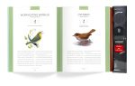 Bird Songs: 250 North American Birds in Song - Image 17