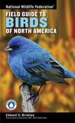 National Wildlife Federation Field Guide to Birds of North America - Image 2