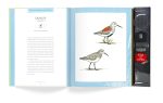 Bird Songs: 250 North American Birds in Song - Image 16