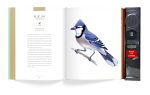 Bird Songs: 250 North American Birds in Song - Image 19