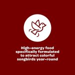 Kaytee Wild Bird Songbird Blend Food Seed, 7 Pound - Image 5