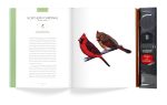 Bird Songs: 250 North American Birds in Song - Image 18