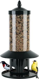 Squirrel-Proof Bird Feeder for Outdoor Wild Bird - Image 2