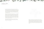 My Family Tree - Image 4