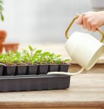 Burpee Self-Watering Seed Starter Tray, 72 Cells - Image 8