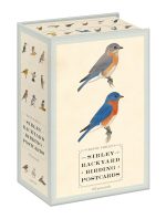 Sibley Backyard Birding Postcards: 100 Postcards (Sibley Birds) - Image 2