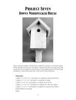 Easy-to-Build Birdhouses (Dover Crafts: Woodworking) - Image 11