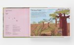 A Family of Trees: My First Book of Forests - Image 10