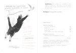 A Dumb Birds Field Guide to the Worst Birds Ever - Image 13