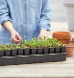 Burpee Self-Watering Seed Starter Tray, 72 Cells - Image 7