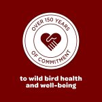 Kaytee Wild Bird Songbird Blend Food Seed, 7 Pound - Image 9