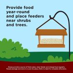 Kaytee Wild Bird Songbird Blend Food Seed, 7 Pound - Image 6