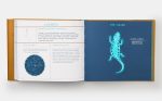 Seeing Stars: A Complete Guide to the 88 Constellations - Image 10