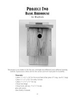 Easy-to-Build Birdhouses (Dover Crafts: Woodworking) - Image 6