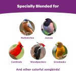 Kaytee Nut & Fruit Wild Bird Seed, 5 lb - Image 6