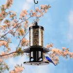 Squirrel-Proof Bird Feeder for Outdoor Hanging Wild Bird Seeds. - Image 6