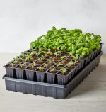 Burpee Self-Watering Seed Starter Tray, 72 Cells - Image 3
