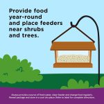 Kaytee Nut & Fruit Wild Bird Seed, 5 lb - Image 8