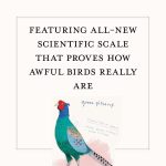 A Dumb Birds Field Guide to the Worst Birds Ever - Image 4