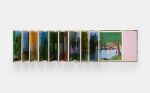 A Family of Trees: My First Book of Forests - Image 16