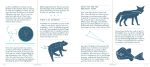 Seeing Stars: A Complete Guide to the 88 Constellations - Image 13