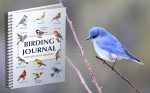 Birding Journal with Life List & Checklist A5 - Image 8