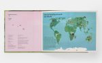 A Family of Trees: My First Book of Forests - Image 12