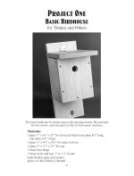 Easy-to-Build Birdhouses (Dover Crafts: Woodworking) - Image 5