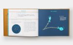 Seeing Stars: A Complete Guide to the 88 Constellations - Image 7