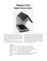 Easy-to-Build Birdhouses (Dover Crafts: Woodworking) - Image 9