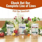 Vegetable & Fruit Seeds, 32 Packs, Non-GMO, 15,000+ Seeds - Image 10