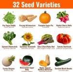 Vegetable & Fruit Seeds, 32 Packs, Non-GMO, 15,000+ Seeds - Image 4