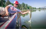 Berkley PowerBait Power Eggs Floating Magnum Fishing Soft Bait - Image 6