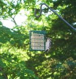 Wildlife Sciences High Energy Suet Cake 10 Pack - Image 4