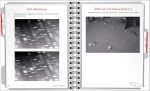 Brain Games - Cold Case Puzzles - Image 5