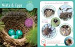 Backpack Explorer: Bird Watch: What Will You Find? - Image 5