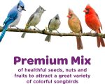 Kaytee Nut & Fruit Wild Bird Seed, 5 lb - Image 4