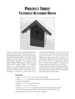 Easy-to-Build Birdhouses (Dover Crafts: Woodworking) - Image 7