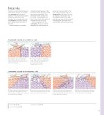 Vogue® Knitting The Ultimate Knitting Book: Completely Revised & Updated - Image 8