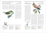 The Backyard Bird-Lover's Guide: Attracting, Nesting, Feeding - Image 6