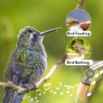 Audubon Bird Call - Natural Gift Pack - Image 4