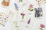 Pick a Flower: A Memory Game - Image 4