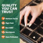 Vegetable & Fruit Seeds, 32 Packs, Non-GMO, 15,000+ Seeds - Image 6